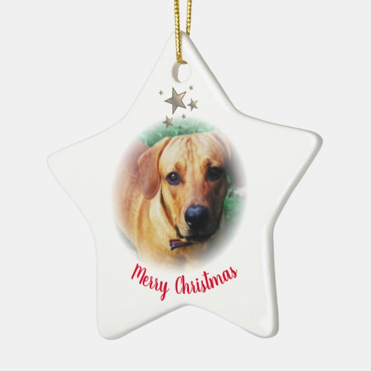 Speciaal kerstStar-vormig Ornament (Links)