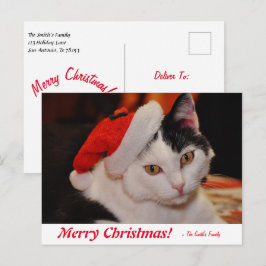 Speciaal kerstzwart en wit kat briefkaart