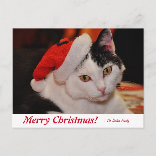 Speciaal kerstzwart en wit kat briefkaart (Voorkant)