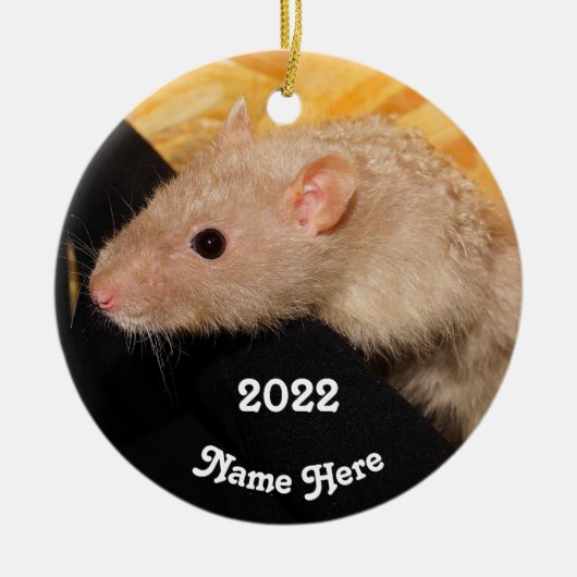 Speciaal Lila  Geavanceerd Fancy Geplaatste Rat Keramisch Ornament (Voorkant)