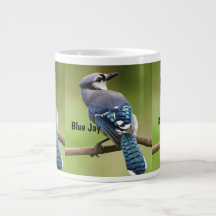 Speciaal Mok met prachtige blauwe Jays