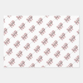 Speciaal NP zuster Practitioner Afstuderen Chic Inpakpapier Vel (Voorkant 2)