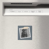 Speciaal ontwerp van tape- en fotoLijst Magneet (Insitu (Vaatwasser))