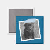 Speciaal ontwerp van tape- en fotoLijst Magneet (Voorkant / Achterkant)