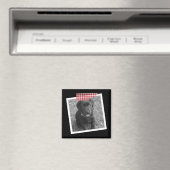Speciaal ontwerp van tape- en fotoLijst Magneet (Insitu (Vaatwasser))