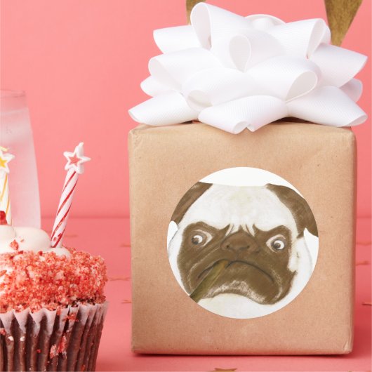 Speciaal op maat gesneden trompy-papegaai met Ciga Ronde Sticker (Feest)