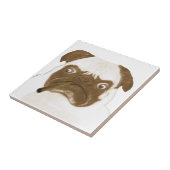 Speciaal op maat gesneden trompy-papegaai met Ciga Tegeltje (Zijkant)