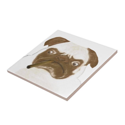 Speciaal op maat gesneden trompy-papegaai met Ciga Tegeltje (Zijkant)