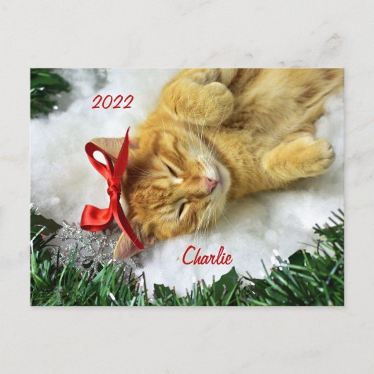 Speciaal Oranje kerstcadeau Briefkaart (Voorkant)