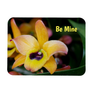 Speciaal orchidee Flexible Magnet Magneet