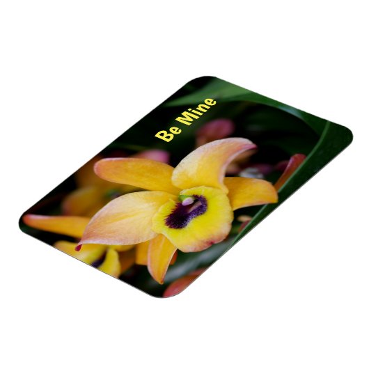 Speciaal orchidee Flexible Magnet Magneet (Linkerzijde)