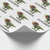 Speciaal papier voor het oppakken van dinosaurus (Hoek)