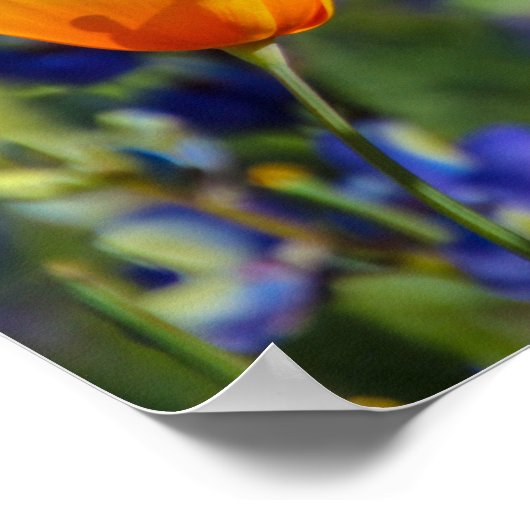 Speciaal Poster (Hoek)