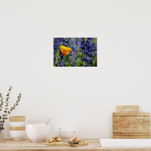 Speciaal Poster (Keuken)