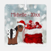 Speciaal uitgeruste klussinterpaarden en cadeautje metalen ornament (Achterkant)