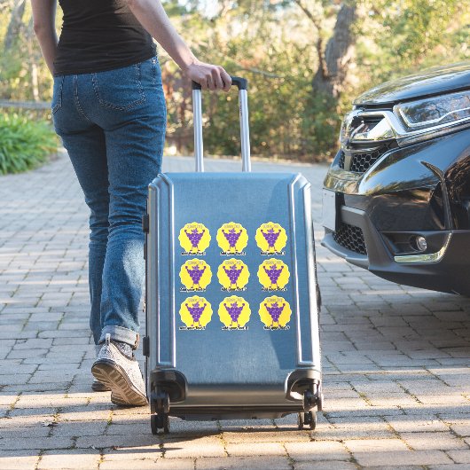 Speciaal uitgeruste Stickers voor lerarenbeloninge (Koffer Insitu)