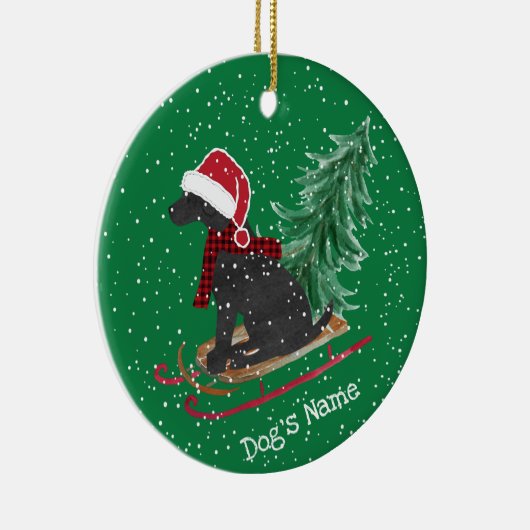 Speciaal uitgeruste zwart-witlaserprogramma's keramisch ornament (Rechts)