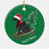 Speciaal uitgeruste zwart-witlaserprogramma's keramisch ornament (Achterkant)