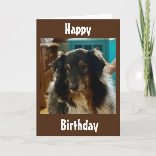 SPECIAL BIRTHDAY WISHES FROM A SPECIAL PUPPY KAART (Voorkant)
