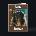 SPECIAL BIRTHDAY WISHES FROM A SPECIAL PUPPY KAART<br><div class="desc">SOMEONE YOU KNOW IS HAVING A BIRTHDAY AND THEY LOVE PUPPIES AND I THINK THEY WILL LOVE THIS CARD. DO NOT FORGET THAT YOU CAN CHANGE THE VERSE ON THE FRONT AND INSIDE MY CARDS!!!  THANKS FOR STOPPING BY ONE OF MY EIGHT STORES!</div>