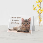 **SPECIAL CAT'S BIRTHDAY WISH TO SPECIAL TWIN** KAART (Gele Bloem)