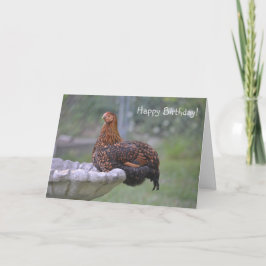Special Chicken Birthday Kaart