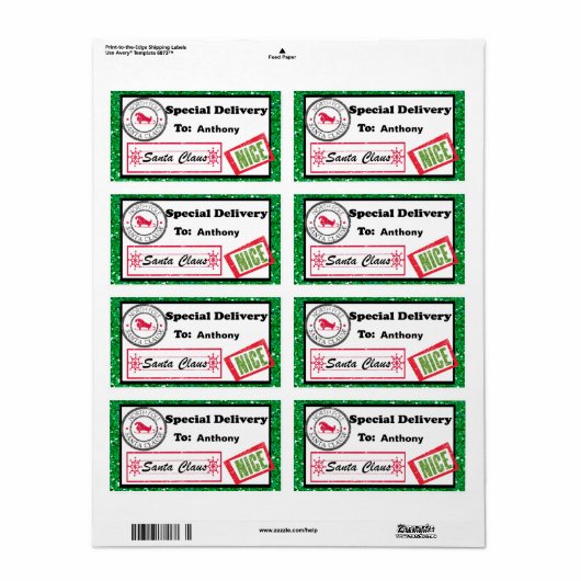 Special Delivery Christmas Package Label (Full Sheet)