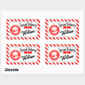 Special delivery from santa Christmas gift  Rechthoekige Sticker (Vel)