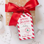 Special Delivery From Santa Christmas Gift Tags Cadeaulabel<br><div class="desc">Deze stijlvolle cadeau-labels voegen een wow-factor toe aan uw geschenken! Bezoek onze website op www.berryberrysweet.com voor meer selecties.</div>