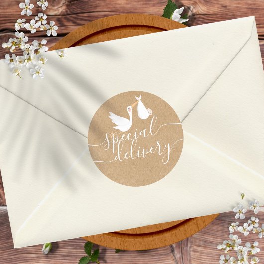Special Delivery Ooievaar Baby Shower Ronde Sticker
