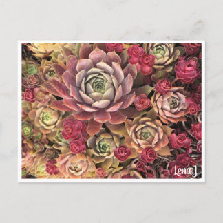 Special Edition Lena J Briefkaart