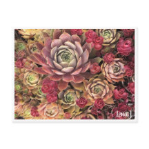 Special Edition Lena J Briefkaart