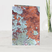 Special Friend, die een Natuur Kaart is in Rock (Achterkant)