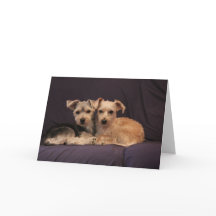 Special Friendship Wenskaart