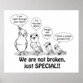 Special need birds poster (Voorkant)