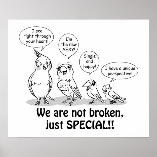 Special need birds poster (Voorkant)