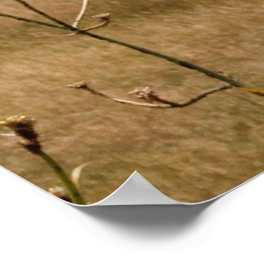 Special Need Parenting Poster (Hoek)