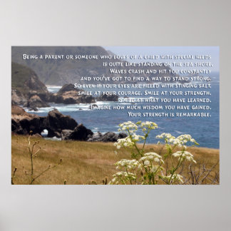 Special Need Parenting Poster