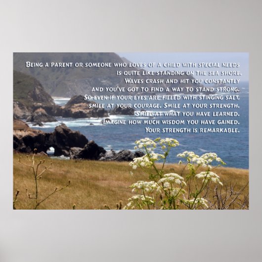 Special Need Parenting Poster (Voorkant)