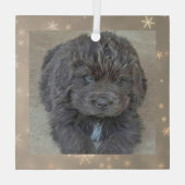 Special Order Carol B Gray Puppy Glass Ornament (Achterkant)