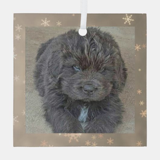 Special Order Carol B Gray Puppy Glass Ornament (Achterkant)