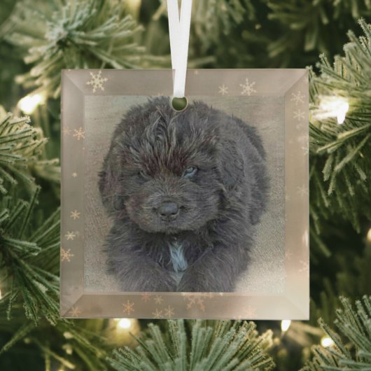Special Order Carol B Gray Puppy Glass Ornament (Insitu)