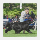 Special Order for Carol B Christmas Glass Ornament (Achterkant)