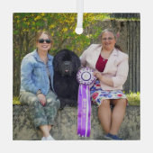 Special Order for Carol B Glass Ornament (Achterkant)