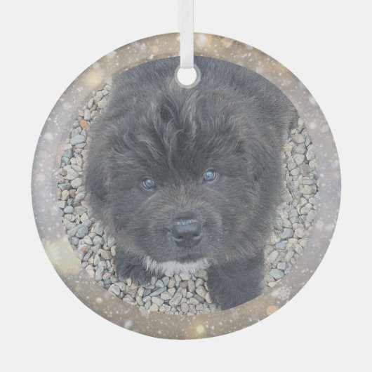 Special Order Gray Puppy Glass Ornament (Voorkant)