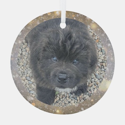 Special Order Gray Puppy Glass Ornament (Achterkant)