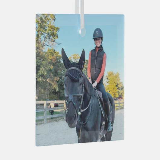 Special Order Horse Glass ornament (Voorkant Rechts)