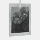 Special Order Twee Newfs Glas Ornament (Voorkant Rechts)