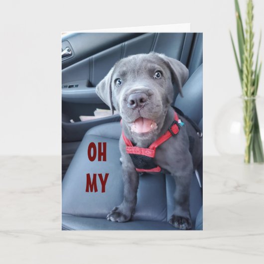 SPECIALE 50e VERJAARDAG WENSEN VAN EEN SPECIALE PU Kaart (Voorkant)