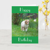 SPECIALE 70ste BIRTHDAY WIST VAN EEN SPECIALE POPP Kaart (Gele Bloem)